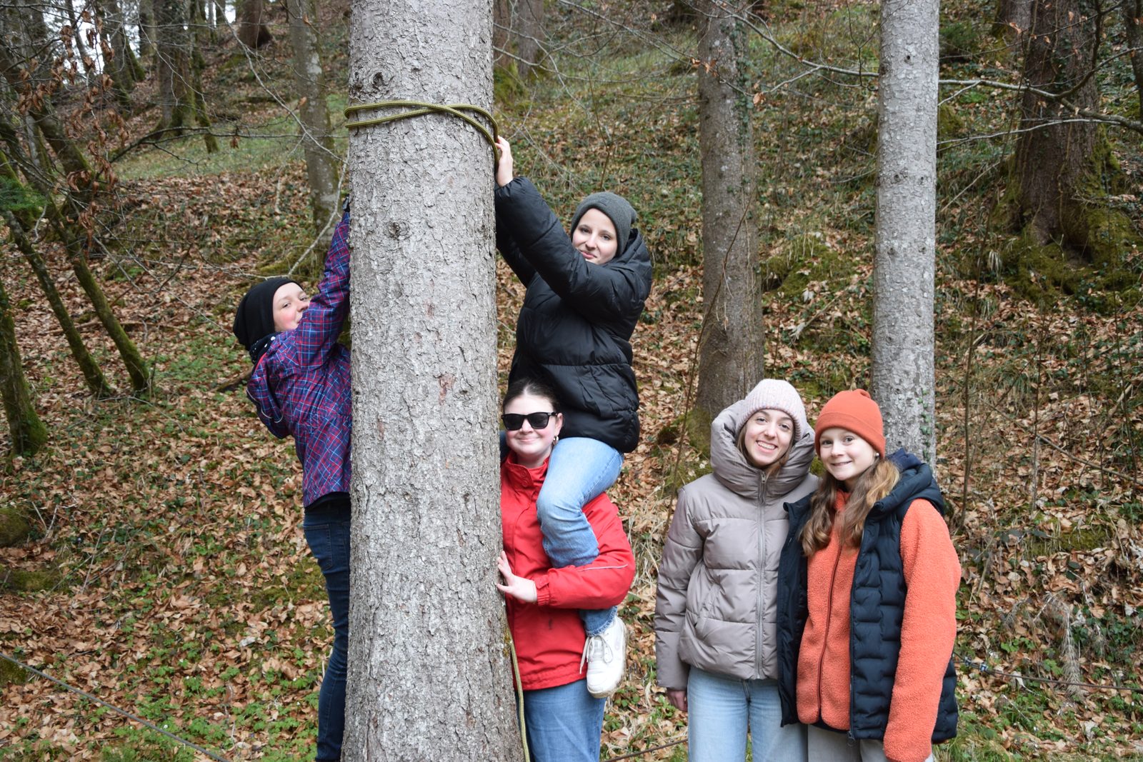 Gemeinsam an einem Baum: Seil- und Knotenkunde im Basiskurs.