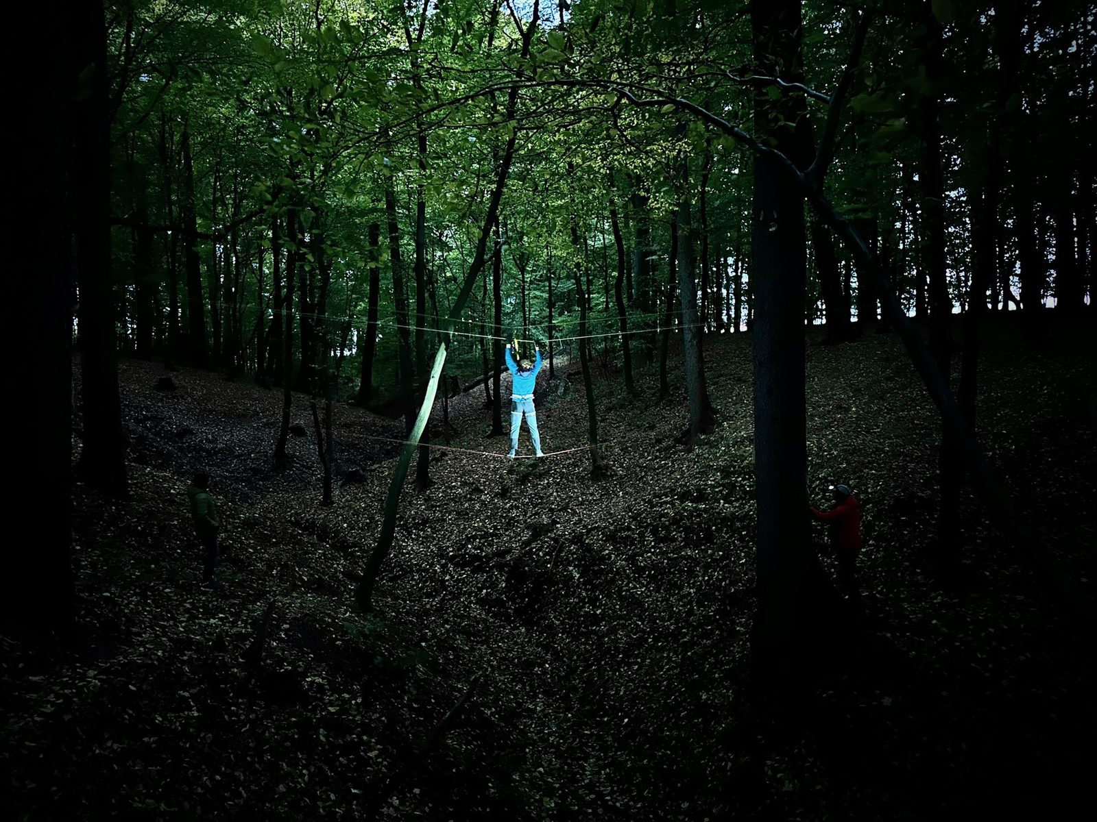 Eine Seilbrücke im Wald – gebaut von den Teilnehmenden des Leiterkurses.